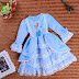 Frozen dress : perfect for birthday party, evening function, wedding