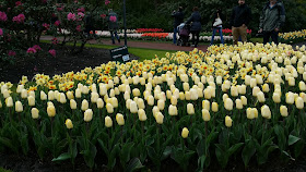 diseños por el mundo. Keukenhof. Holanda