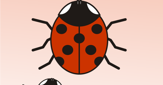 Paling Inspiratif Gambar Sketsa Kumbang  Koksi The Toosh
