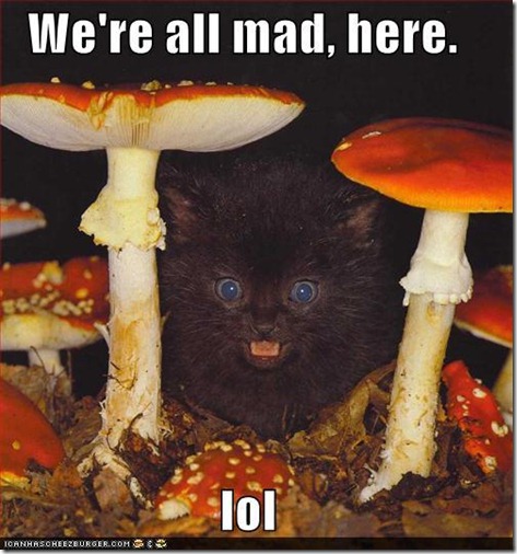 funny-pictures-were-all-mad-here