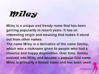 meaning of the name "Miley"