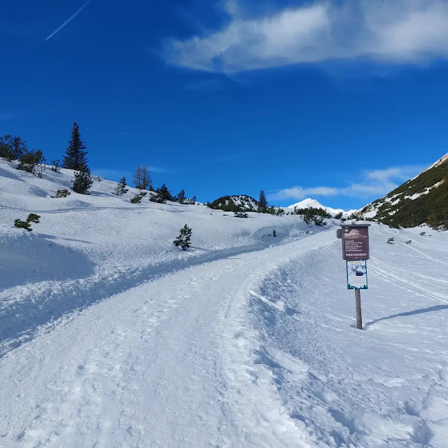 da malga ra stua al rifugio sennes inverno