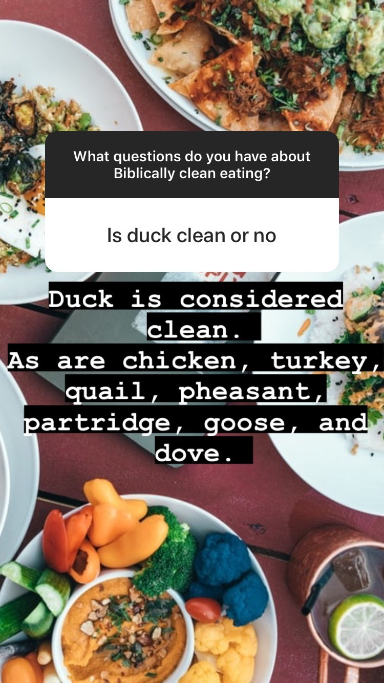 Biblically clean poultry and ducks + questions and answers about what the Bible says about food | Land of Honey