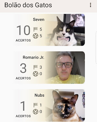 Ranking dos palpiteiros no app Bolão da Copa