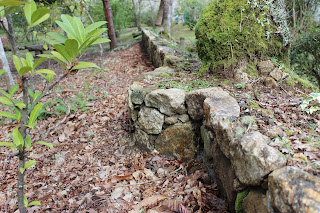 muro de piedra rustica que sirve para laseparación de la zona de mesa y bancos de piedra de la zona de arboles