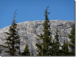 P1000841