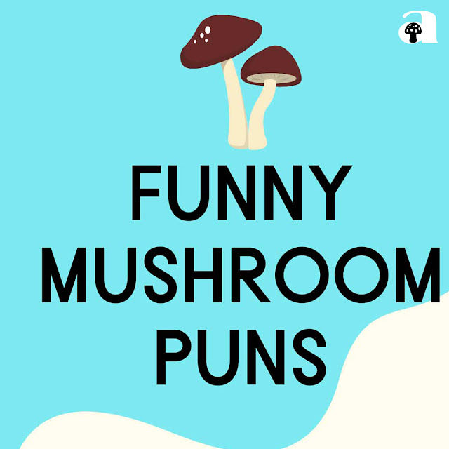 mushroom puns, jokes and one-liners_2