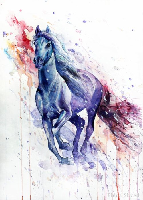 Elena Shved deviantart pinturas aquarelas coloridas animais manchados cavalos gatos cachorros leões tigres cores