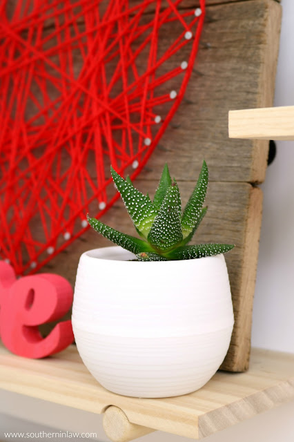 Valentine’s Day Home Decor Styling – Succulent in Self Draining Pot - inspiration, easy valentine’s decoration ideas, red pink home décor theme