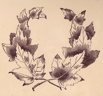 I just love this Maple leaf frame This graphic with it 39s chocolate and 