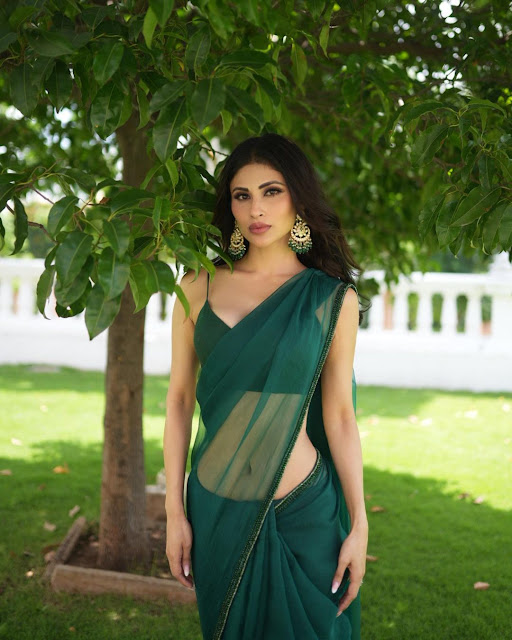 Actress Mouni Roy Latest Hot Photos in Green Saree & Insta Video