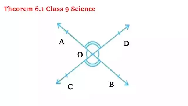 Theorem 6.1 Class 9 Maths Explanation with Proof