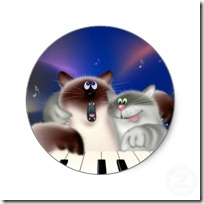 gato pianista blogdeimagenes (24)