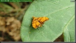 20140722_111218_054_BaiMaSi