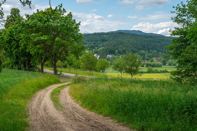 Rundtour bei Wörth a. d. Donau | Wandern im Regensburger Land 08