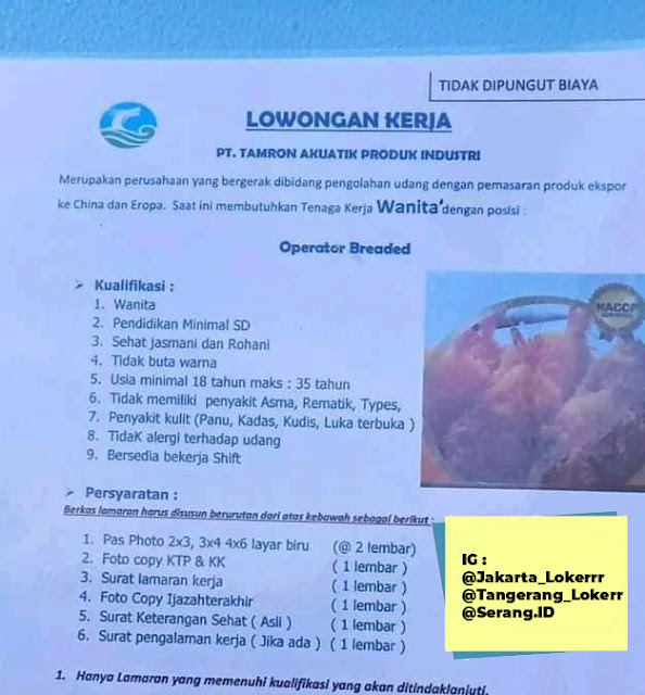 Lowongan Kerja Serangid