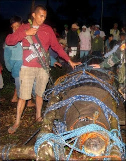 World Largest Crocodile Caught In Philippines, Biggest Alligator