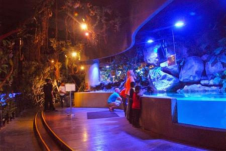 Mengembara dunia ikan di Aquaria KLCC