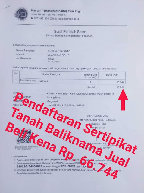 Langkah-Langkah Membuat Sertifikat Tanah MURAH TANPA Pakai Notaris