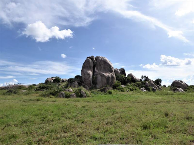 kopjes nel serengeti