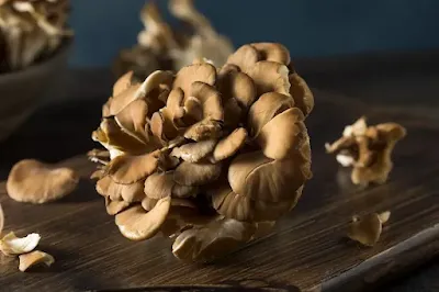 Maitake and Prostate Cancer