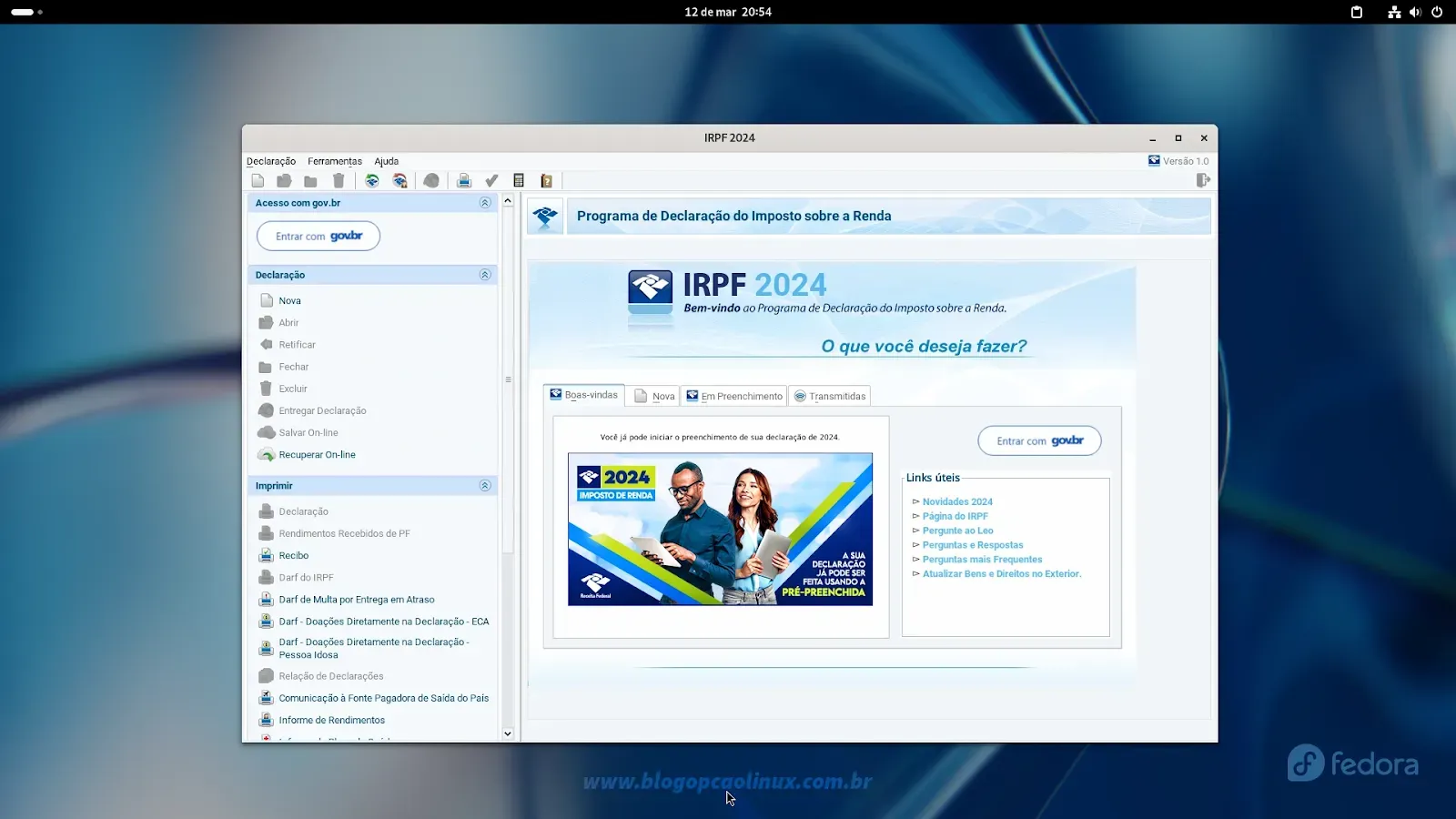 Programa Gerador da Declaração do Imposto de Renda 2024 executando no Fedora Linux 39 - GNOME Shell