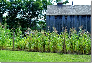 cooperstown 081710 200e