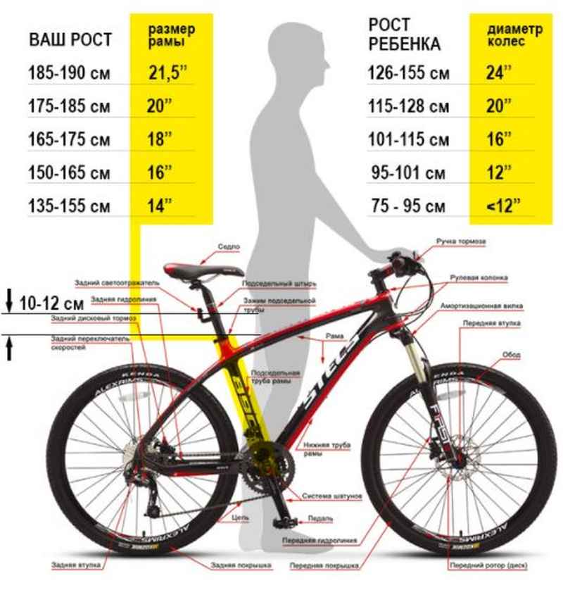 Размер рамы велосипеда и рост: велосипед по росту<