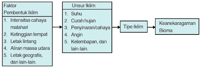 Mekanisme pembentukan keanekaragaman ekosistem.