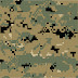 MARPAT Woodland