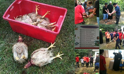 View Bengkel Penyembelihan Ayam Al ulum 2011