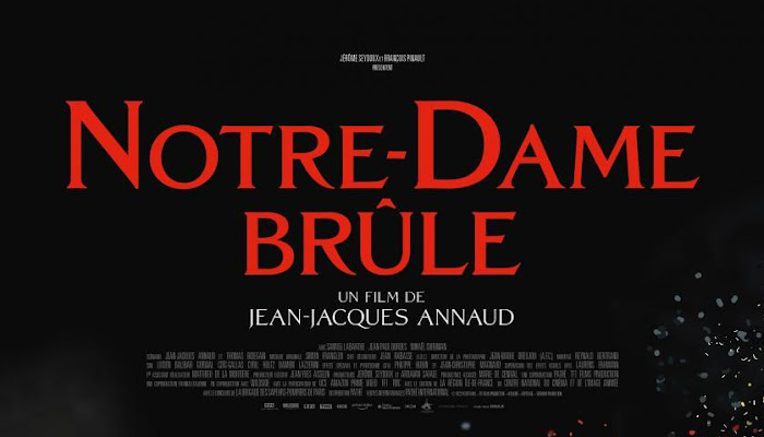  Descargar pelicula Notre-Dame: Desastre en París (2022) - MEGA - Español latino/Ingles - 720p/1080p