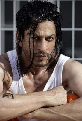 Shahrukh Khan Don 2