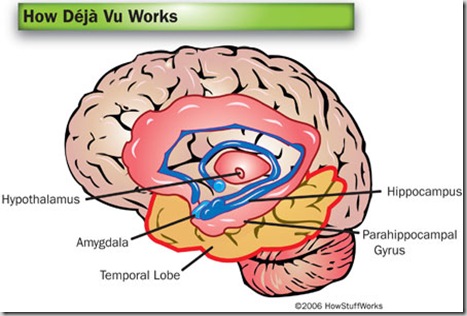 deja-vu-brain
