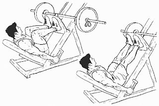 1. Leg Press