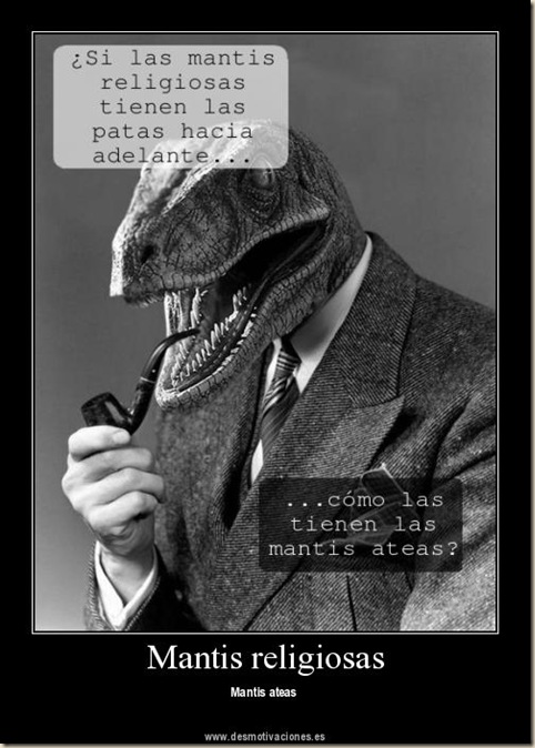 ateismo desmotivaciones 6