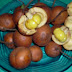 Buah Khas “Stelechocarpus Burahol” Yang Mulai Langka