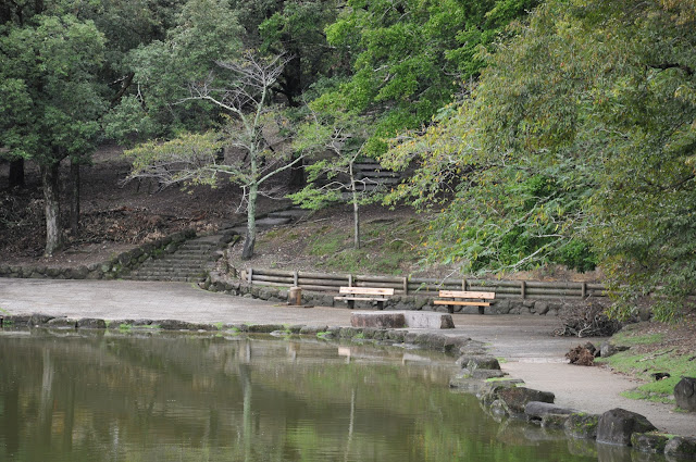 奈良公園浮見堂清掃活動