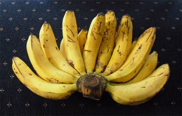 Pisang Ambon, Jenis Pisang Terbaik untuk Ibu Hamil