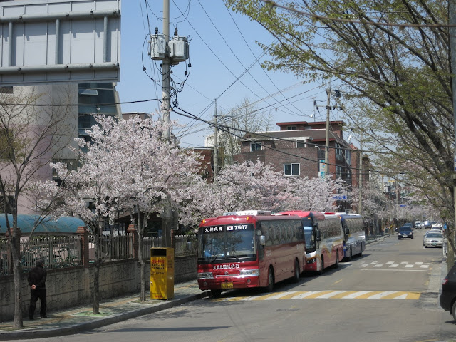 Hyundai Coach @Gangnam, Seoul 2013 Korea Trip (韓國之旅) @Gangnam {江南 - 강남)  #首爾 #大韓民國旅行社