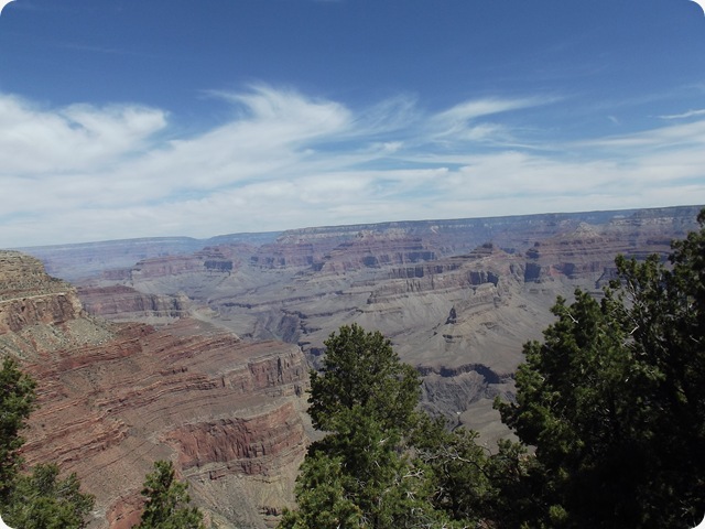 DSCF1730