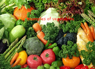 Get To Know How The Cultivation Of Vegetables