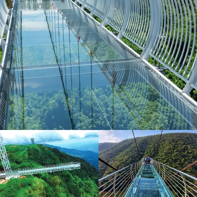 ग्लास ब्रिज (Glass Bridge), Rajgir, Bihar