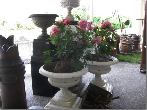 ladew garden days 049