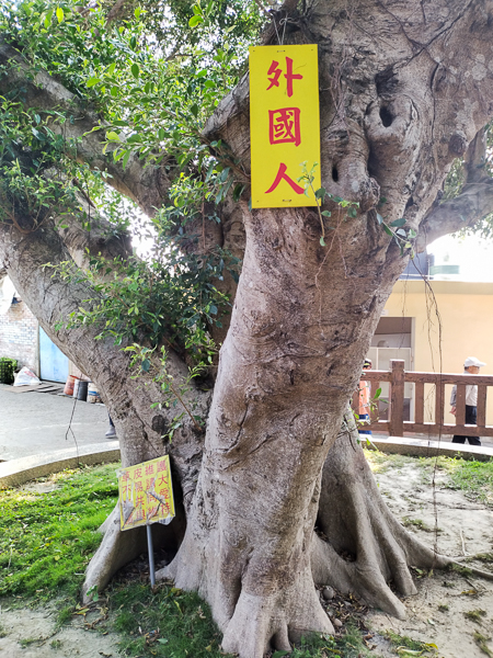 彰化芬園福榕宮泡麵土地公，139線大竹村土地公請吃泡麵