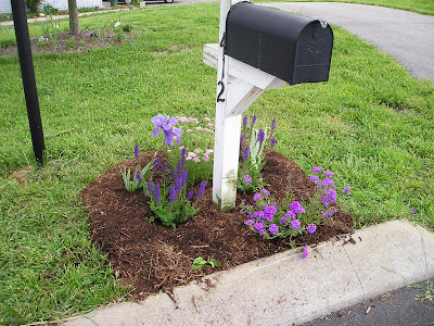 My Mailbox Garden