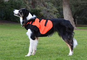 Protective high visibility safety vest for dogs
