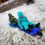 IMG_20140126_142404