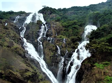 biodiversity conservation western ghats