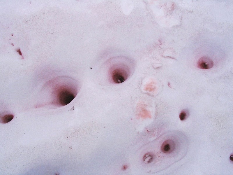 watermelon-snow-8 watermelon-snow-8